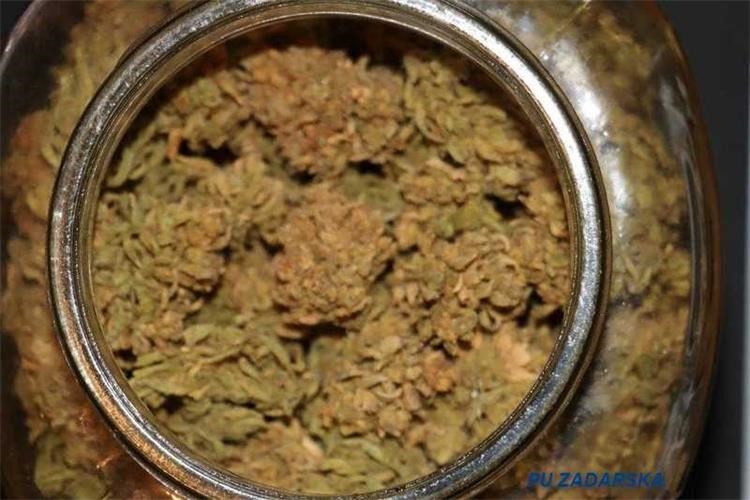 Slika /2025/DROGA/marihuana 21.11..jpg